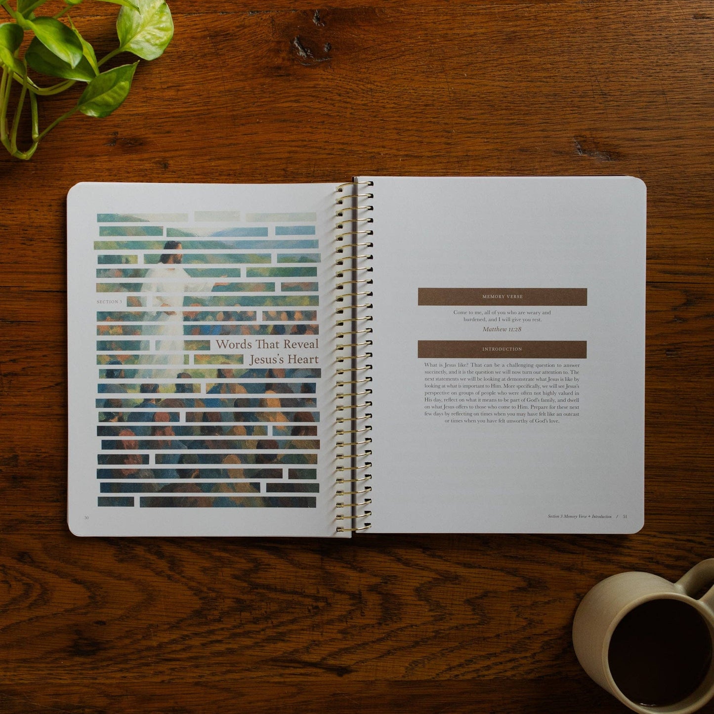 Forty Sayings of Jesus Spiral Bible Study
