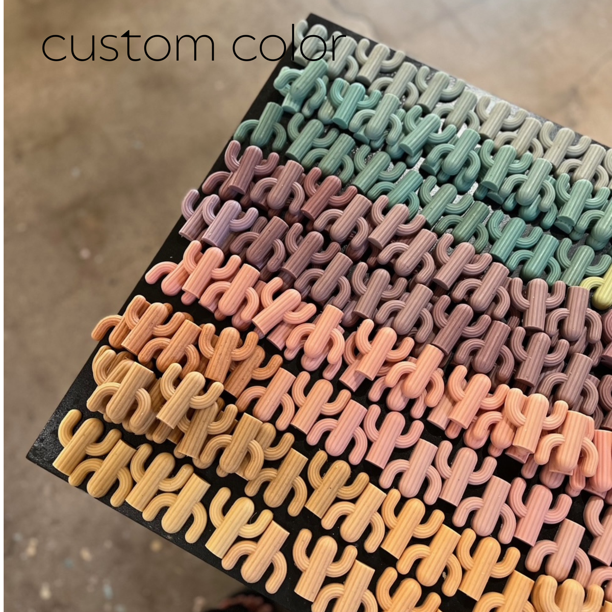 Cactus Soap-Singles