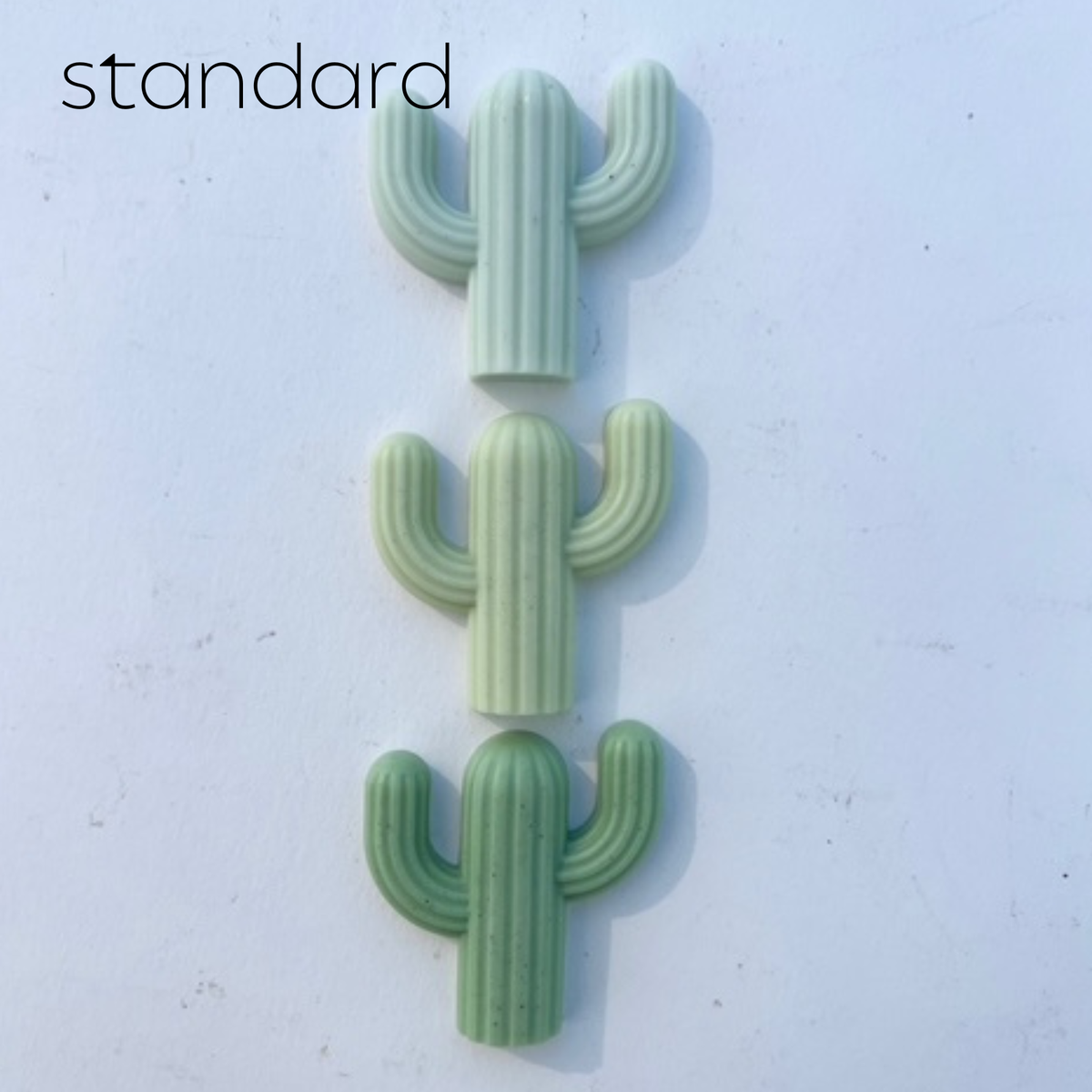 Cactus Soap-Singles