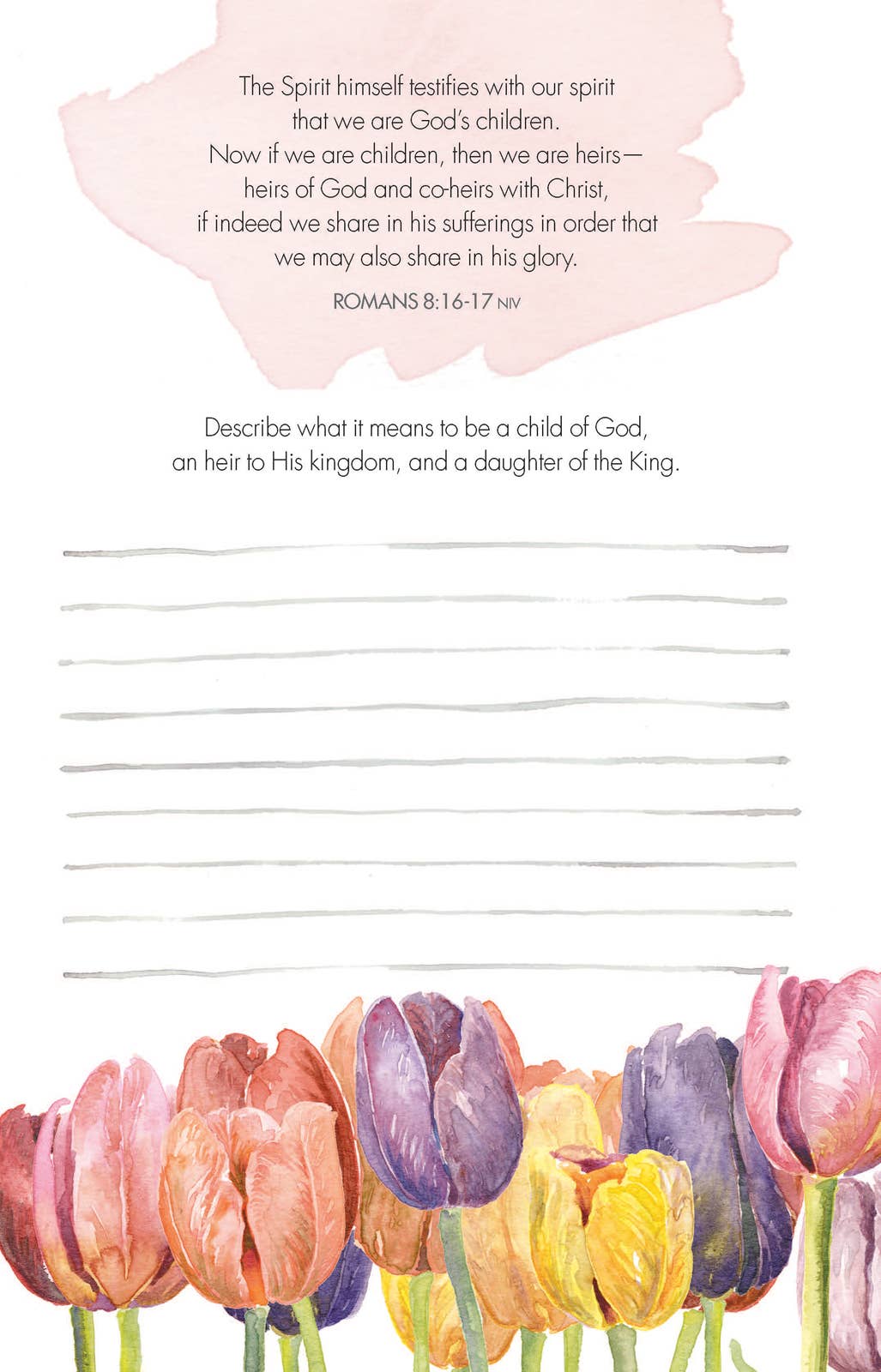 GraceLaced Seasons