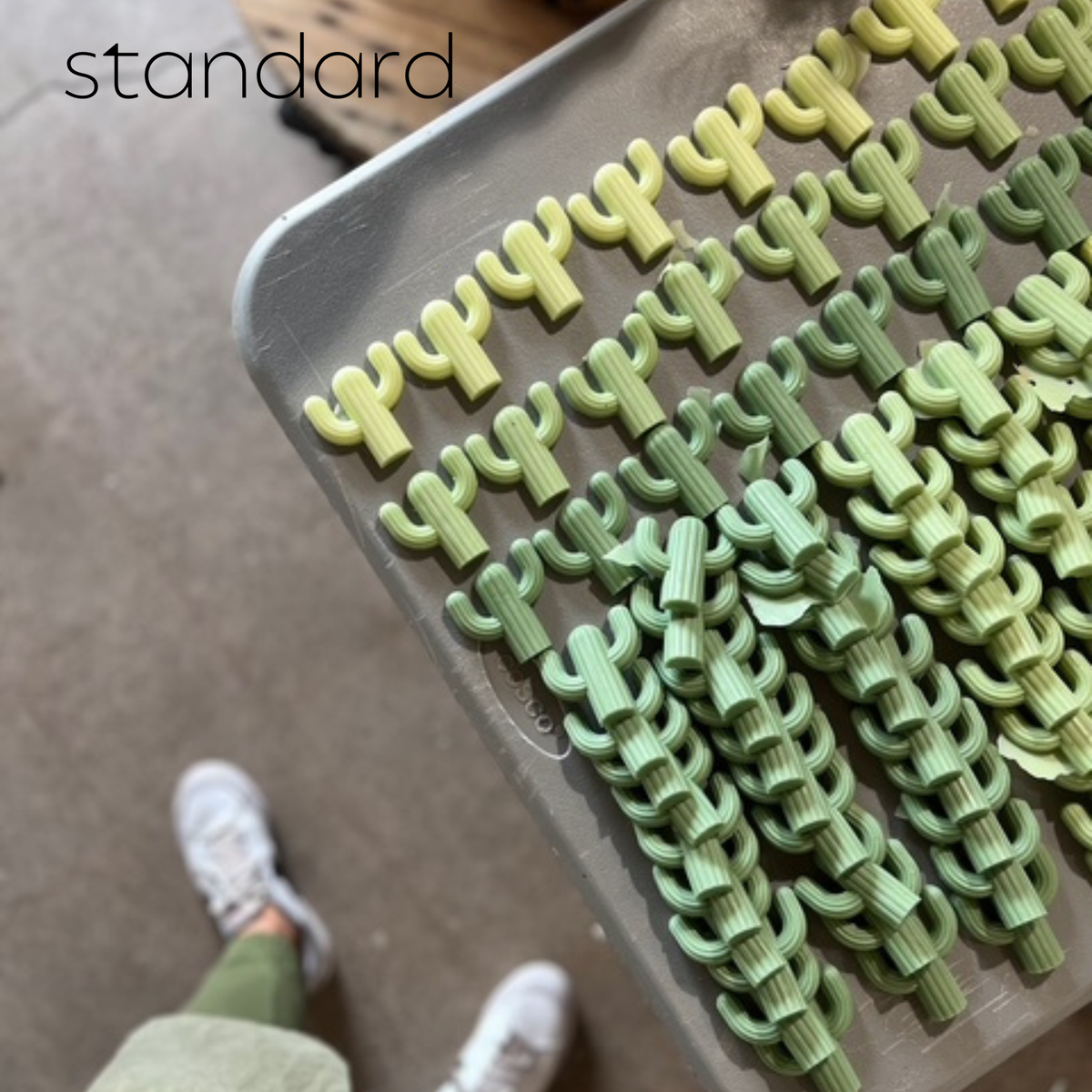 Cactus Soap-Singles