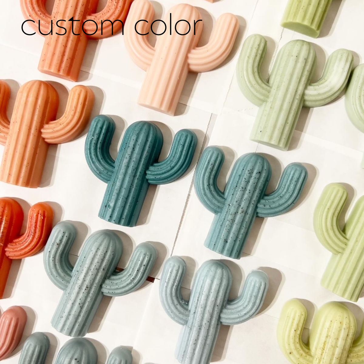 Cactus Soap-Singles