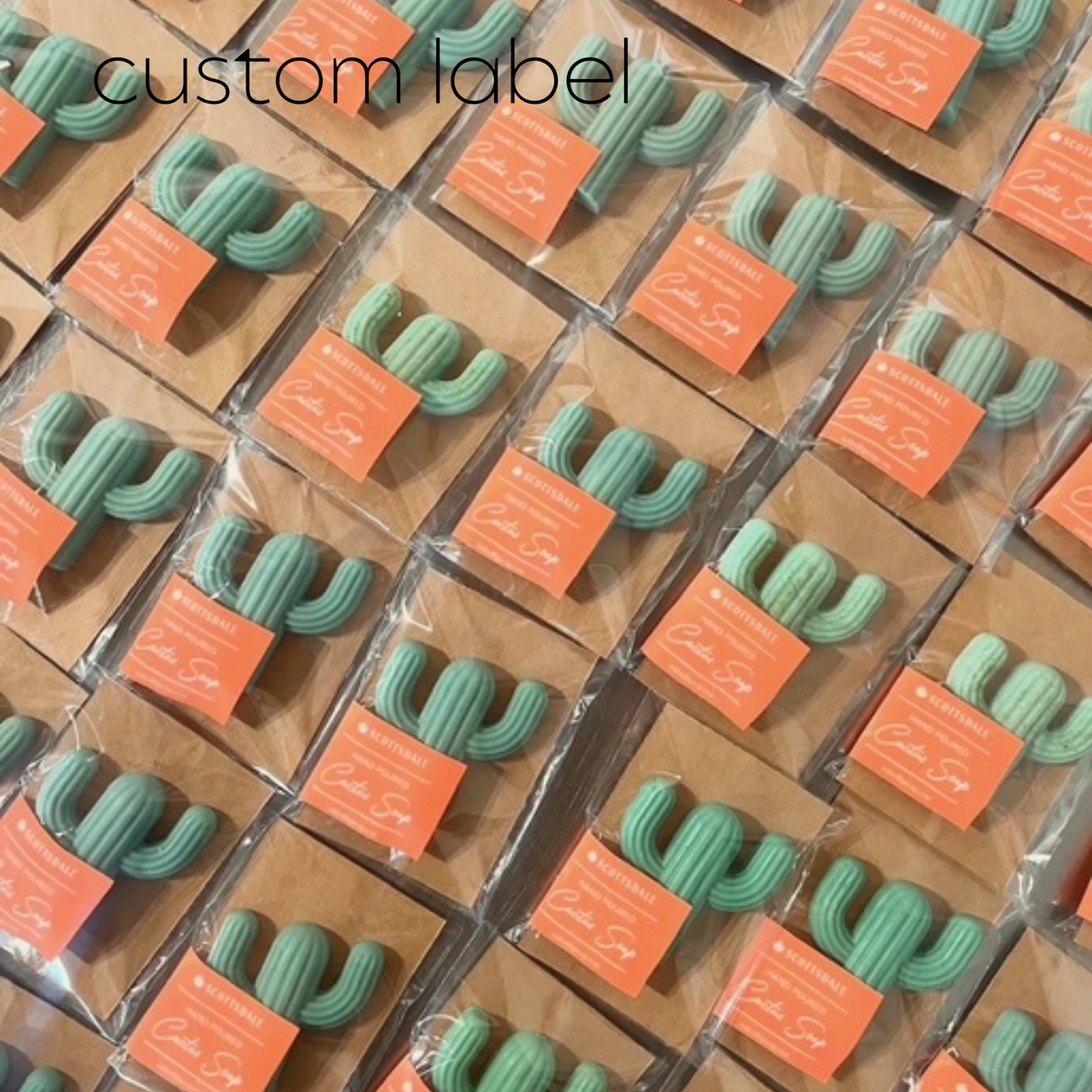 Cactus Soap-Singles