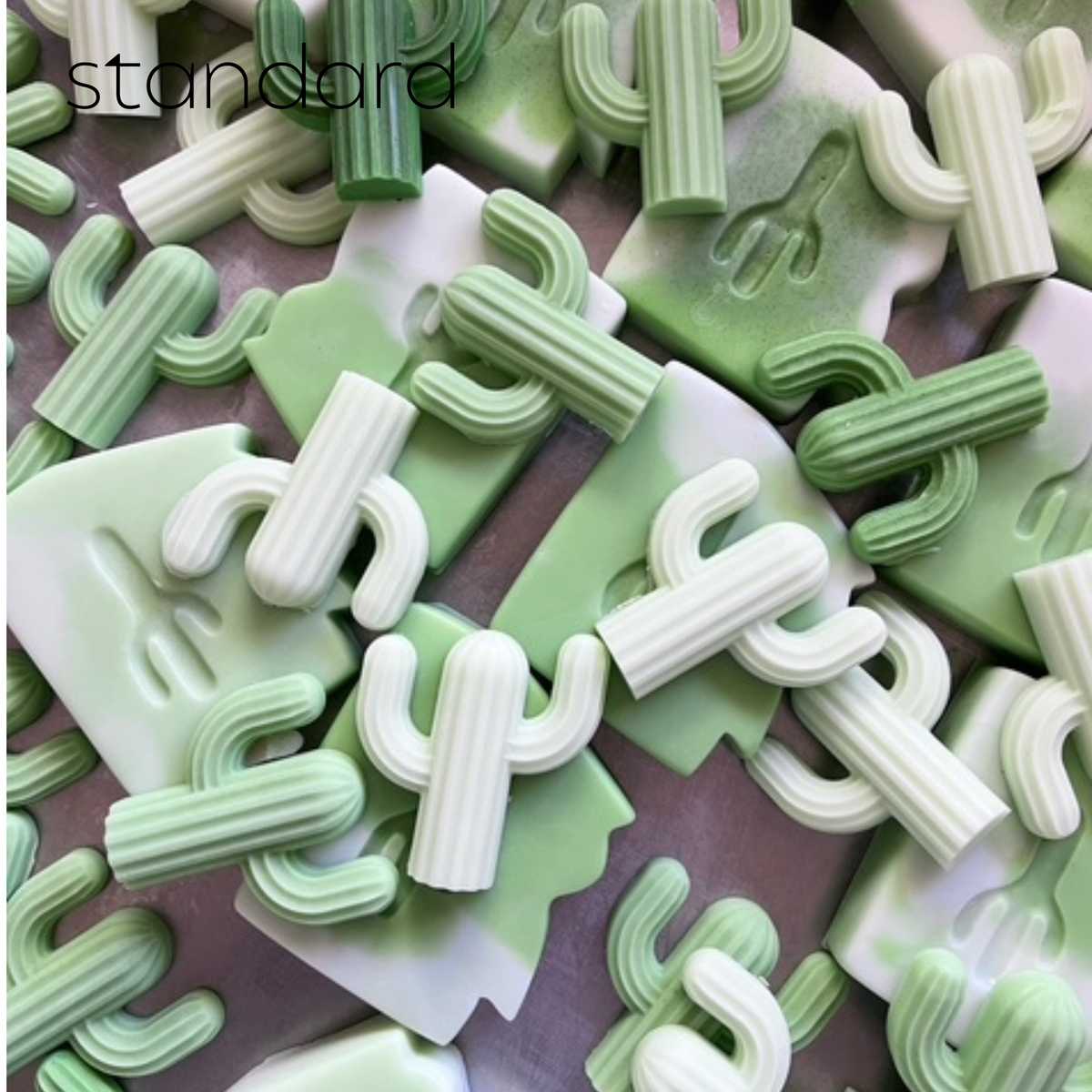 Cactus Soap-Singles