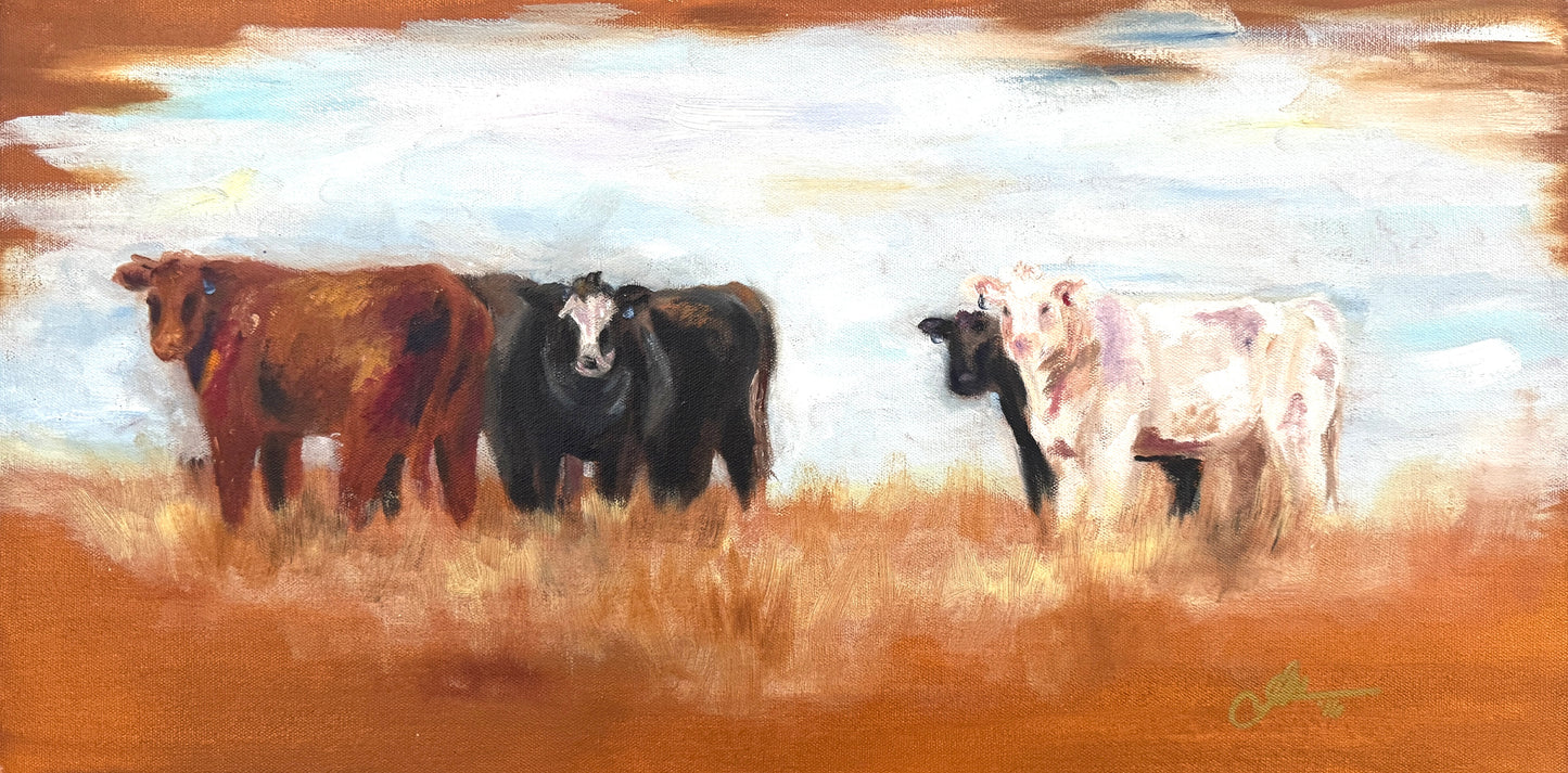 Bell Cows - Archival Paper & Canvas Prints