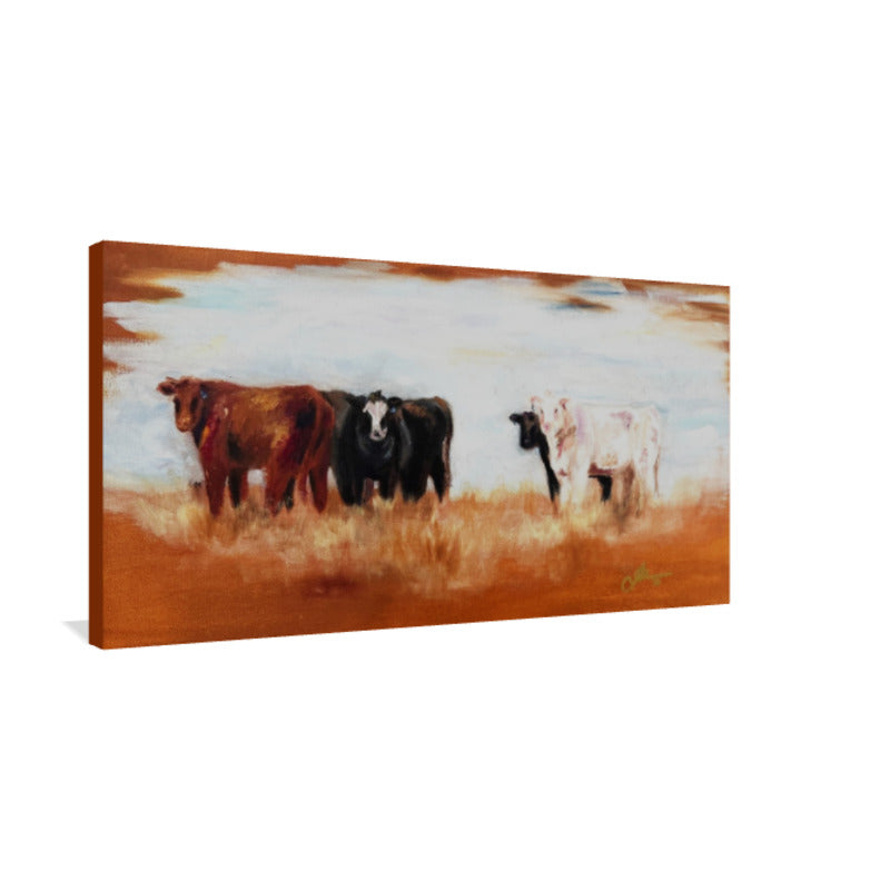 Bell Cows - Archival Paper & Canvas Prints