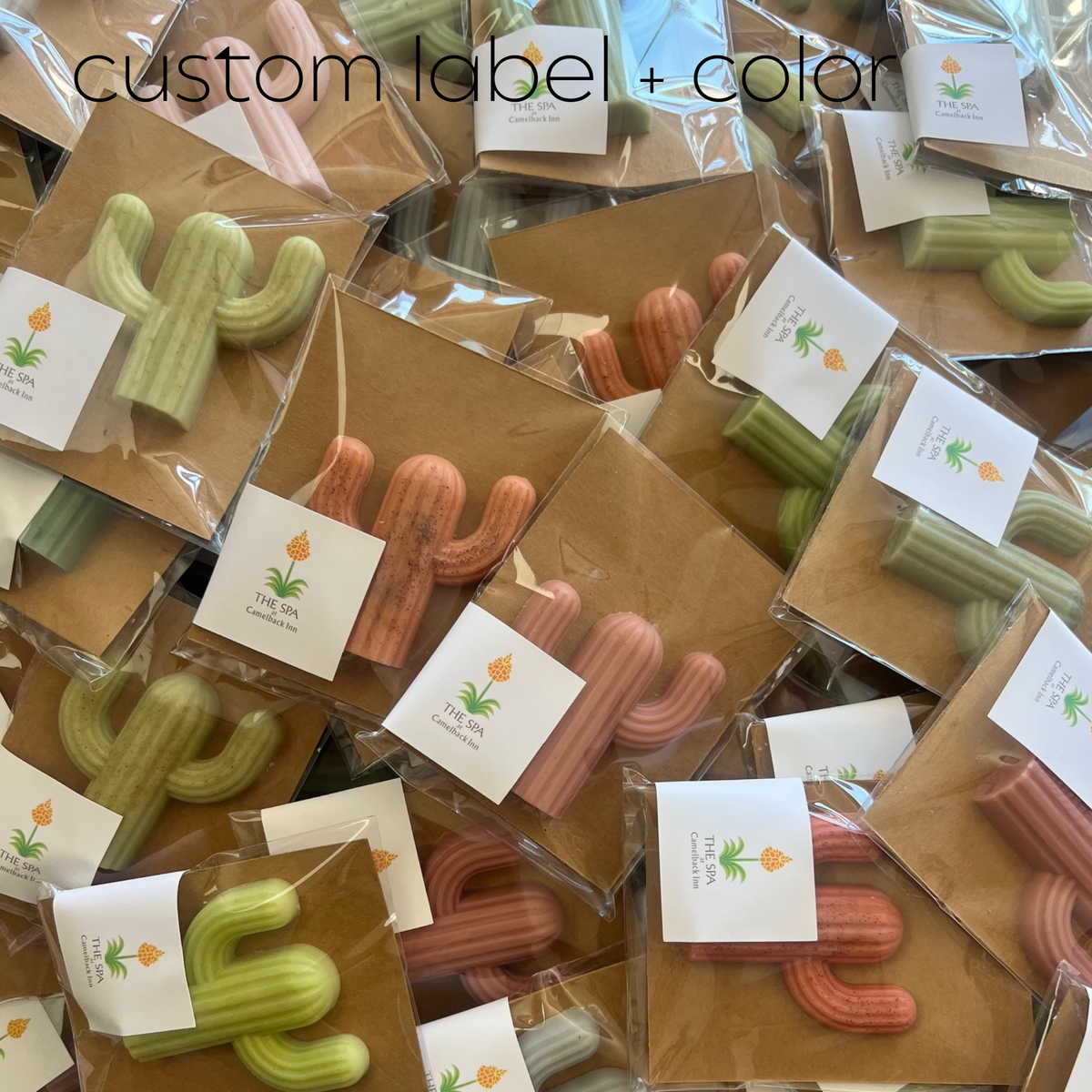 Cactus Soap-Singles
