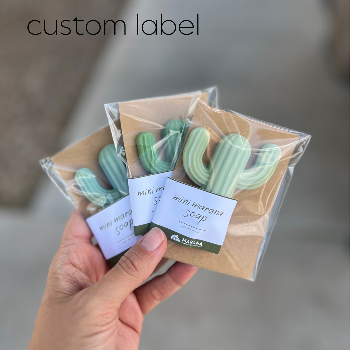 Cactus Soap-Singles