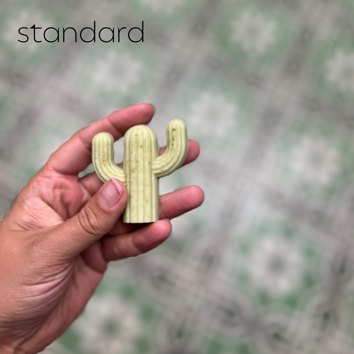 Cactus Soap-Singles